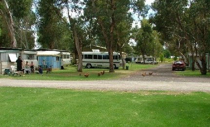 Harvey Rainbow Caravan Park - Holiday Find 0