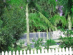 Pinjarra Caravan Park - Holiday Find 3