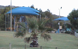 Horrocks Beach Caravan Park - Holiday Find 5