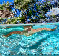 BIG4 Ballina Headlands Holiday Park - Holiday Find