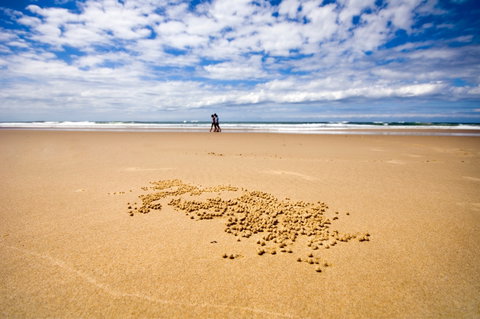 BIG4 Nambucca Beach Holiday Park - Holiday Find 1