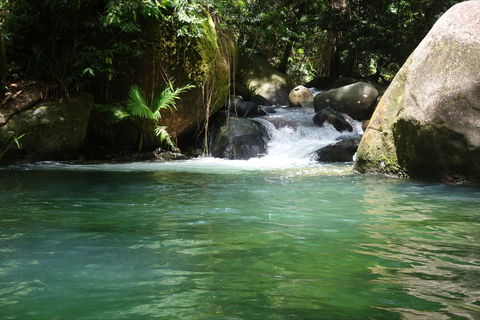 Daintree Secrets Rainforest Sanctuary - Holiday Find 0