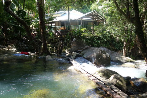 Daintree Secrets Rainforest Sanctuary - Holiday Find 2