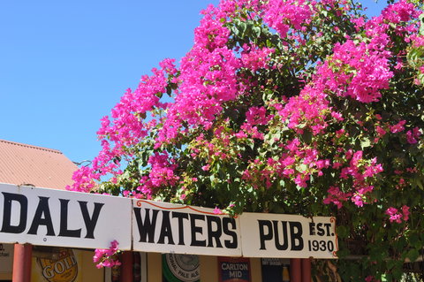 Daly Waters Historic Pub - Holiday Find 0