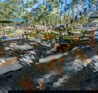 Dashville - Holiday Find