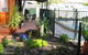 Molliejay Bed And Breakfast - thumb 0
