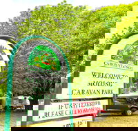 Molong Caravan Park - Holiday Find