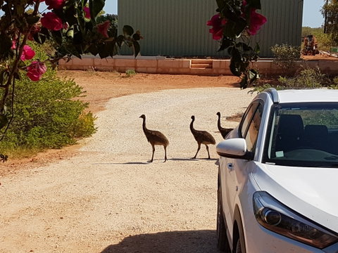 Ningaloo Bed And Breakfast - Holiday Find 1