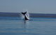 Ningaloo Bed And Breakfast - thumb 2