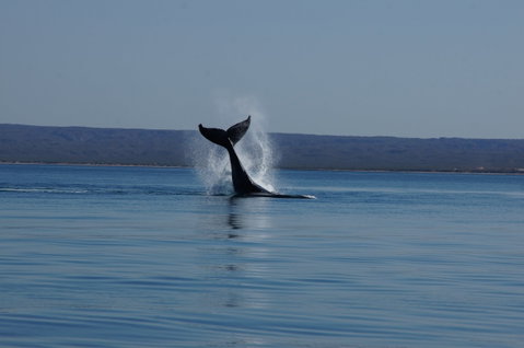 Ningaloo Bed And Breakfast - Holiday Find 2