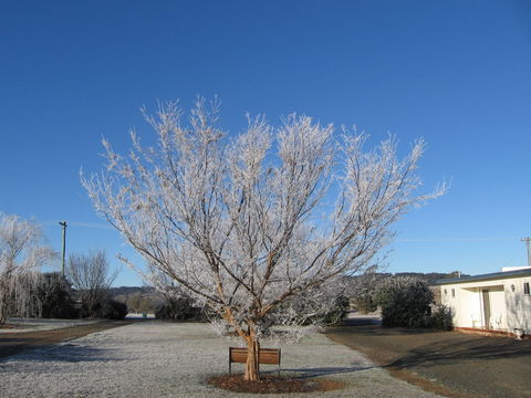 Nowendoc Country Motel - Holiday Find 0