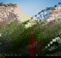 Sandstone Park Carnarvon Gorge - Holiday Find