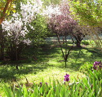 Sofala Cottage - Holiday Find