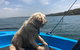 Tommy's Lakehouse - thumb 2