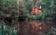 Woodlands Rainforest Retreat - thumb 0