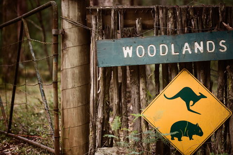 Woodlands Rainforest Retreat - Holiday Find 1