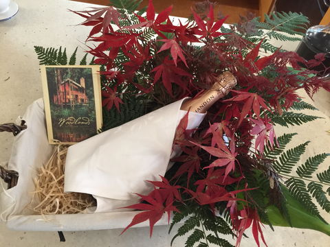 Woodlands Rainforest Retreat - Holiday Find 2