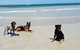 BIG4 Warrnambool Figtree Holiday Park - thumb 2