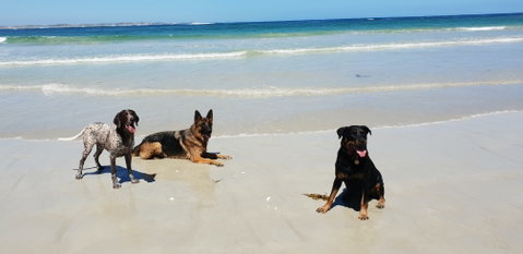 BIG4 Warrnambool Figtree Holiday Park - Holiday Find 2