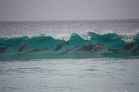 Bremer Bay Caravan Park - Holiday Find 1
