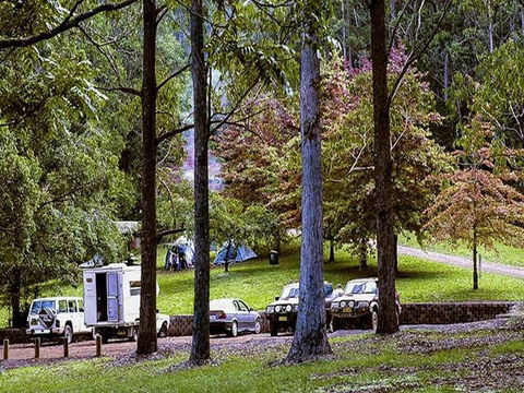 Dingo Tops Campground - Holiday Find 2