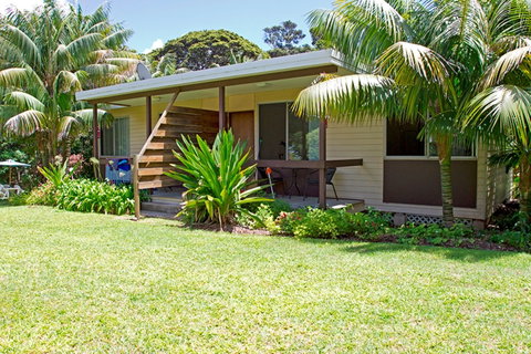 The Broken Banyan - Holiday Find 0