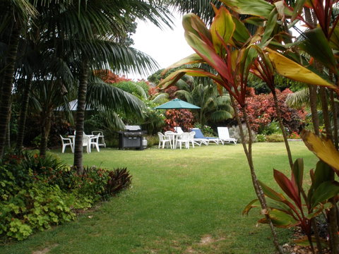 The Broken Banyan - Holiday Find 1