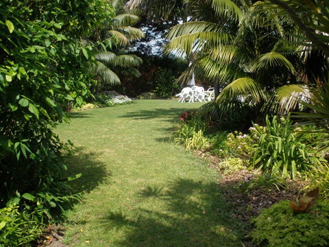 The Broken Banyan - Holiday Find 2