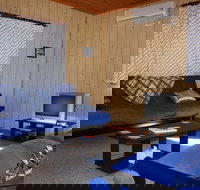 Tosha's Place - Holiday Find