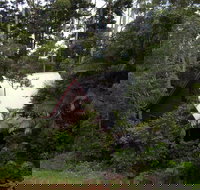 Turkeys Nest Rainforest Cottages Mt Glorious - Holiday Find