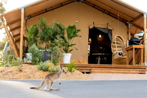 BIG4 Anglesea Holiday Park - Holiday Find 2
