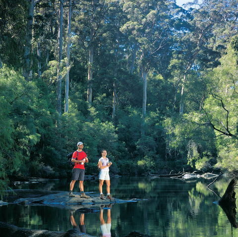 Drafty's Camp At Warren National Park - Holiday Find 0