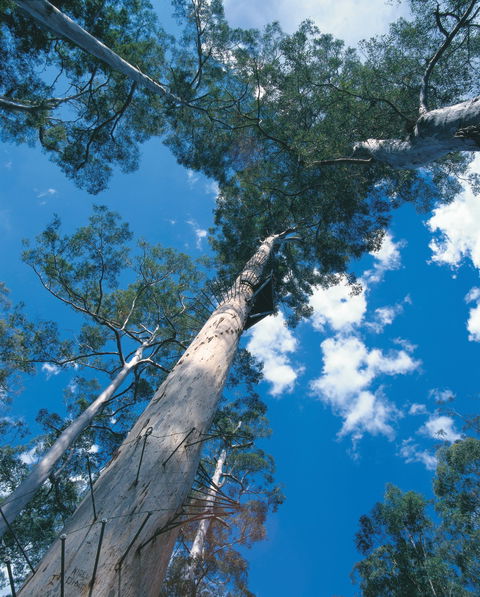 Drafty's Camp At Warren National Park - Holiday Find 2