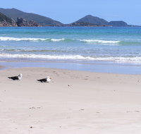 Eagles Rise Tasmania