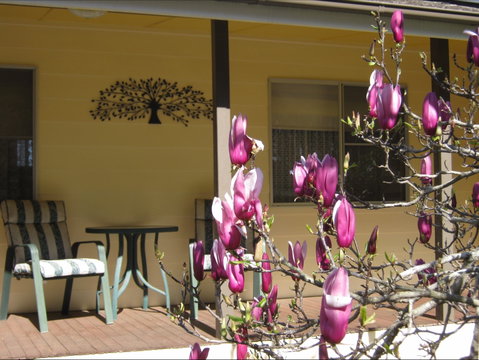Figtree Cottage - Holiday Find 1