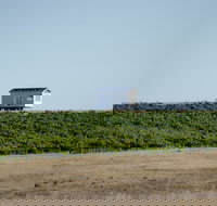 Hounds Run Vineyard - Holiday Find