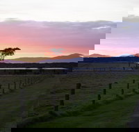 Just Inside The Gate - Holiday Find