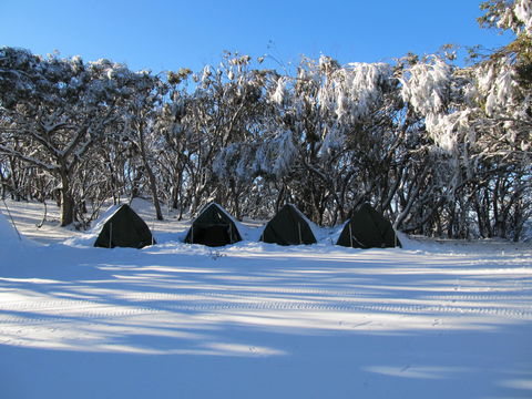 Mt Stirling Alpine Winter Camp - Holiday Find 1