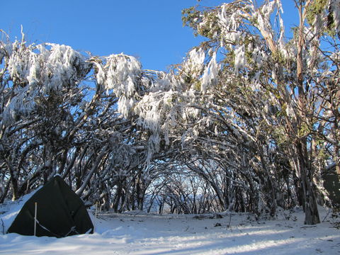 Mt Stirling Alpine Winter Camp - Holiday Find 2