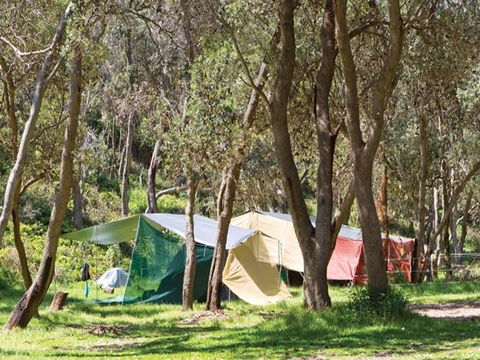 Pebbly Beach Campground - Yuraygir National Park - Holiday Find 1