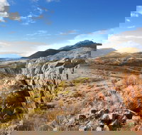 Pichi Richi Park - Holiday Find