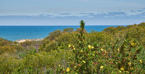 Preston Beach Front Apartment - Holiday Find 0
