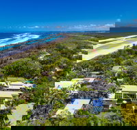 The Vines - Holiday Find