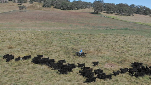 Waterloo Station - Holiday Find 2