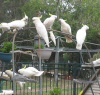 Winnamatta Guest House