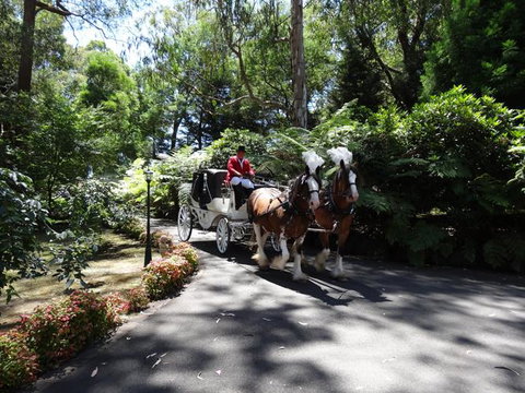 Whistle Stopover - Holiday Find 8