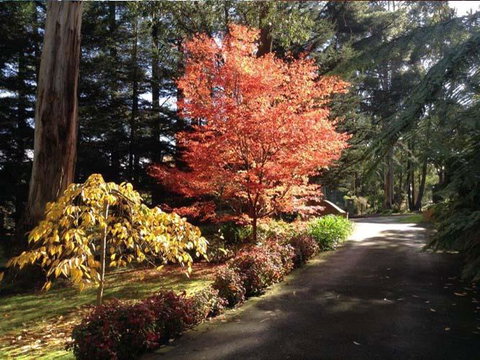 Whistle Stopover - Holiday Find 12