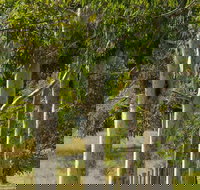 Stringybark Cottages - Holiday Find