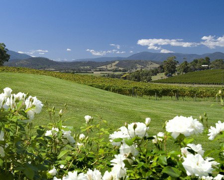 Balgownie Estate Vineyard Resort And Spa - Holiday Find 0