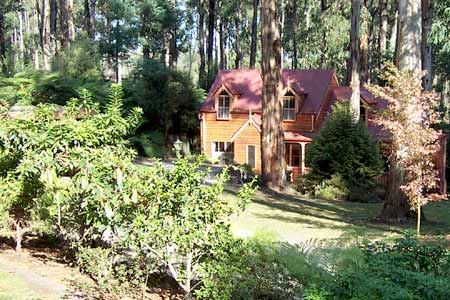 Whistle Stopover - Holiday Find 1